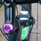 Prankster (The Joker) Mudguard