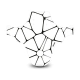 Voronoi Diagram White & Black Mudguard