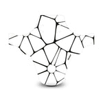 Voronoi Diagram Black & White Mudguard